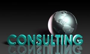 Insurance Consulting